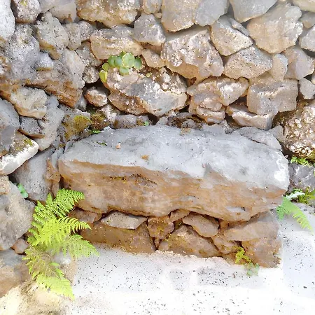 House With Sea View In Santo Amaro, 212 Sq M, Terrace Semesterbostad