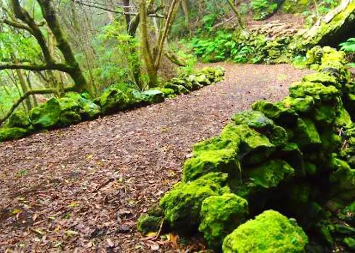 Semesterbostad House With Sea View In Santo Amaro, 212 Sq M, Terrace