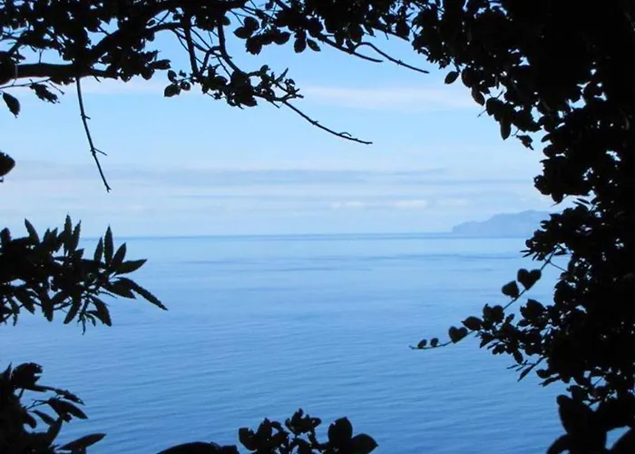 Semesterbostad House With Sea View In Santo Amaro, 212 Sq M, Terrace