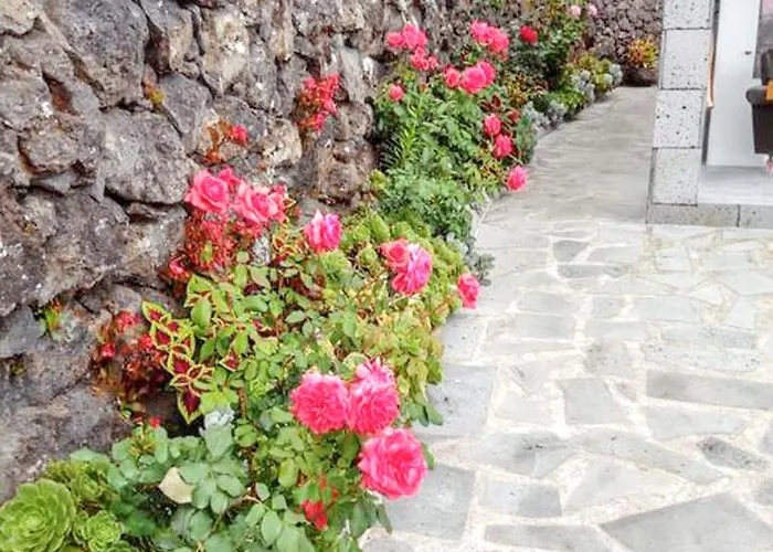 Semesterbostad House With Sea View In Santo Amaro, 212 Sq M, Terrace