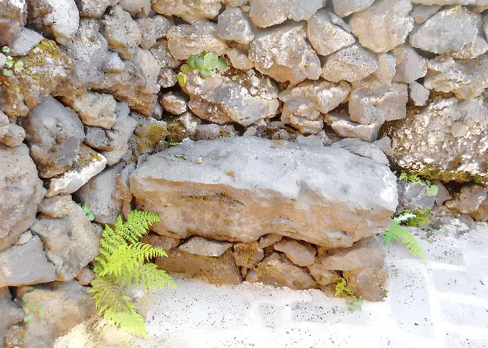 House With Sea View In Santo Amaro, 212 Sq M, Terrace Semesterbostad