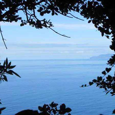 בית נופש House With Sea View In Santo Amaro, 212 Sq M, Terrace