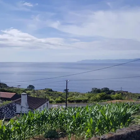 House With Sea View In Santo Amaro, 212 Sq M, Terrace Prázdninový dům