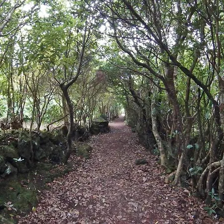 House With Sea View In Santo Amaro, 212 Sq M, Terrace Santo Amaro (Azores)